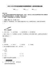 2023-2024学年湖北省黄冈市季黄梅县物理八上期末联考模拟试题含答案