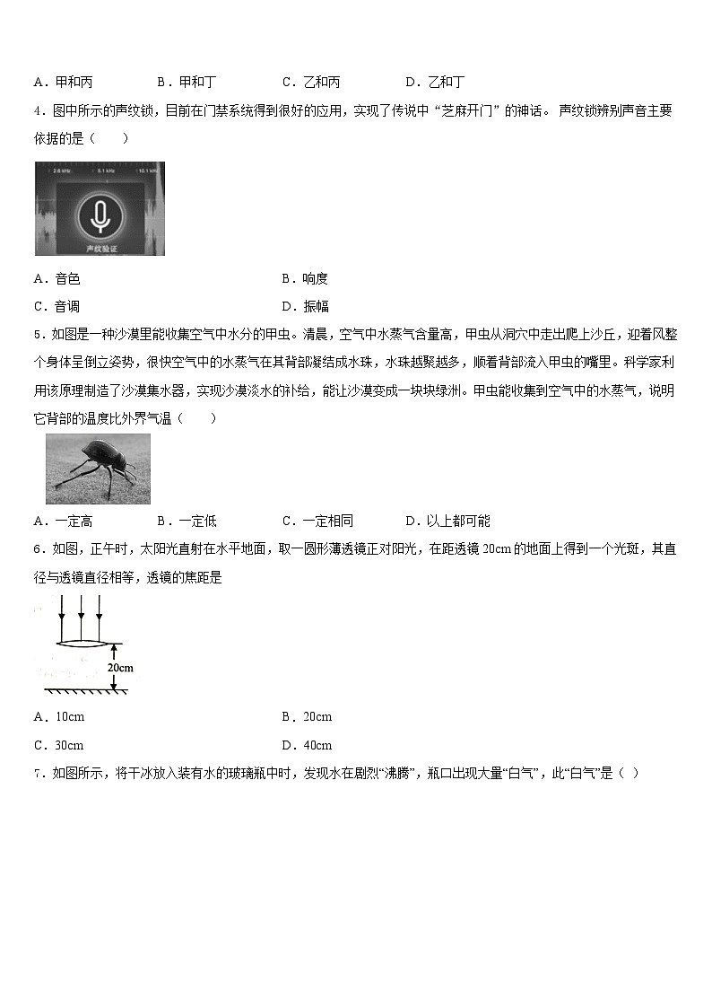 2023-2024学年湖北省随州市曾都区实验中学物理八年级第一学期期末达标检测模拟试题含答案02