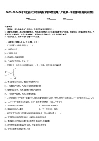 2023-2024学年湖北省武汉市蔡甸区求新联盟物理八年级第一学期期末检测模拟试题含答案