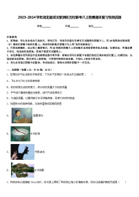 2023-2024学年湖北省武汉新洲区五校联考八上物理期末复习检测试题含答案