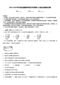 2023-2024学年湖北省襄阳市阳光学校物理八上期末监测模拟试题含答案