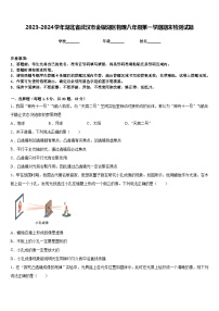 2023-2024学年湖北省武汉市金银湖区物理八年级第一学期期末检测试题含答案