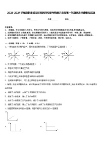 2023-2024学年湖北省武汉汉阳区四校联考物理八年级第一学期期末经典模拟试题含答案