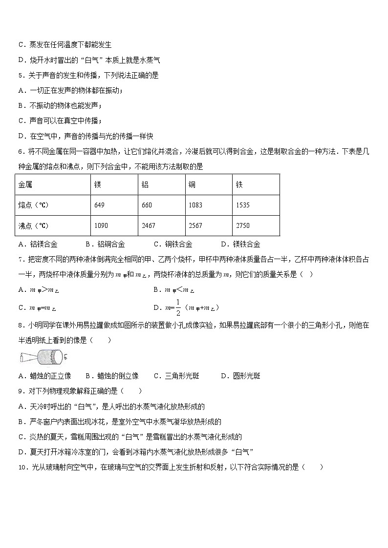 2023-2024学年湖北省武汉市高新区物理八年级第一学期期末考试模拟试题含答案第2页