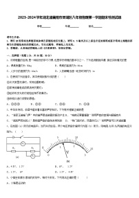 2023-2024学年湖北省襄阳市樊城区八年级物理第一学期期末检测试题含答案