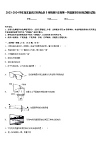 2023-2024学年湖北省武汉市青山区5月物理八年级第一学期期末综合测试模拟试题含答案