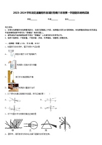 2023-2024学年湖北省襄阳市宜城区物理八年级第一学期期末调研试题含答案