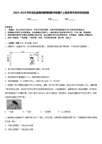 2023-2024学年湖北省黄冈黄梅县联考物理八上期末教学质量检测试题含答案