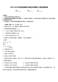 2023-2024学年湖北省黄石市富池片区物理八上期末监测试题含答案