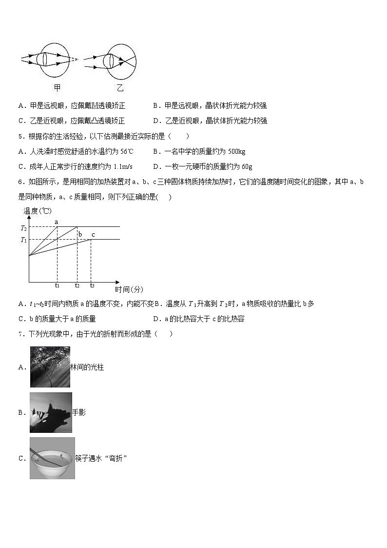 2023-2024学年湖南省常德市澧县物理八上期末学业质量监测模拟试题含答案02