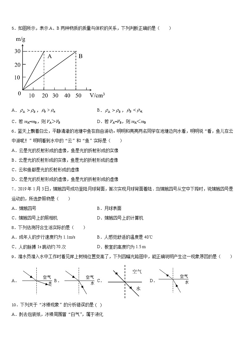 2023-2024学年湖南省常德市桃源县八上物理期末教学质量检测试题含答案02