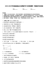 2023-2024学年湖南省德山乡龙潭庵中学八年级物理第一学期期末考试试题含答案