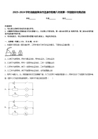 2023-2024学年湖南省娄底市涟源市物理八年级第一学期期末经典试题含答案