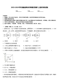 2023-2024学年湖南省娄底市娄星区物理八上期末预测试题含答案