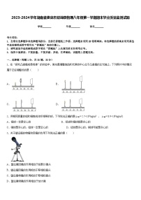 2023-2024学年湖南省娄底市双峰县物理八年级第一学期期末学业质量监测试题含答案