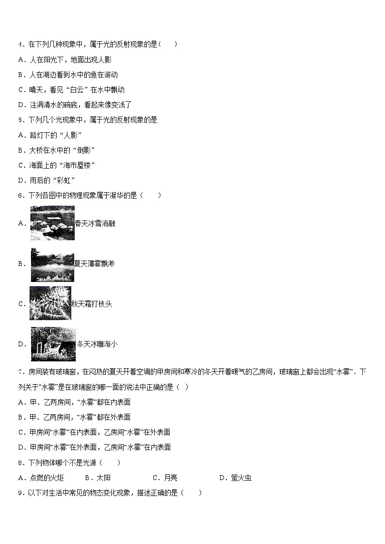 2023-2024学年湖南省娄底市双峰县物理八年级第一学期期末学业质量监测试题含答案02