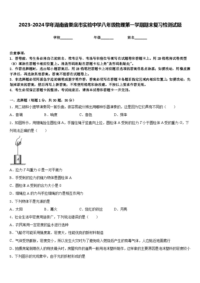 2023-2024学年湖南省娄底市实验中学八年级物理第一学期期末复习检测试题含答案第1页