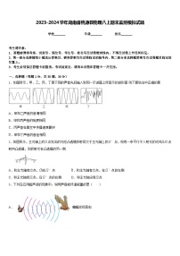 2023-2024学年湖南省桃源县物理八上期末监测模拟试题含答案