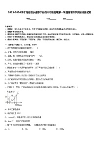 2023-2024学年湖南省永州市宁远县八年级物理第一学期期末教学质量检测试题含答案