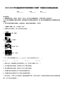 2023-2024学年湖南省株洲市株洲县物理八年级第一学期期末质量跟踪监视试题含答案