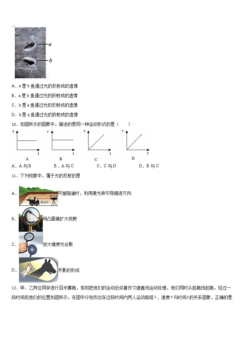 2023-2024学年湖南省武冈市物理八年级第一学期期末考试模拟试题含答案第3页