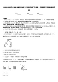 2023-2024学年湖南省岳阳市城区二十四校物理八年级第一学期期末质量跟踪监视试题含答案