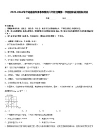 2023-2024学年湖南省株洲市茶陵县八年级物理第一学期期末监测模拟试题含答案