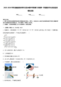 2023-2024学年湖南省张家界市五道水镇中学物理八年级第一学期期末学业质量监测模拟试题含答案