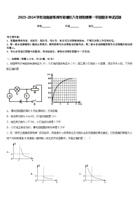 2023-2024学年湖南省株洲市荷塘区八年级物理第一学期期末考试试题含答案