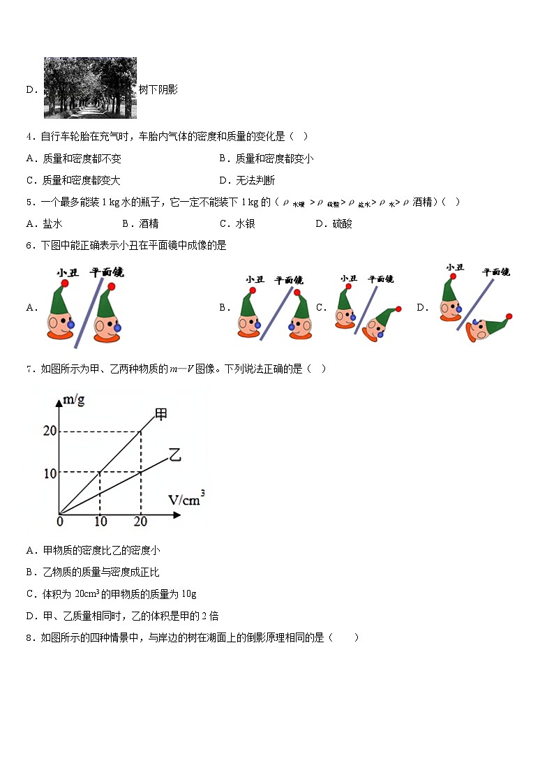 2023-2024学年湖南邵阳市城区物理八上期末质量检测模拟试题含答案第2页