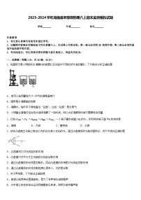 2023-2024学年湖南省茶陵县物理八上期末监测模拟试题含答案