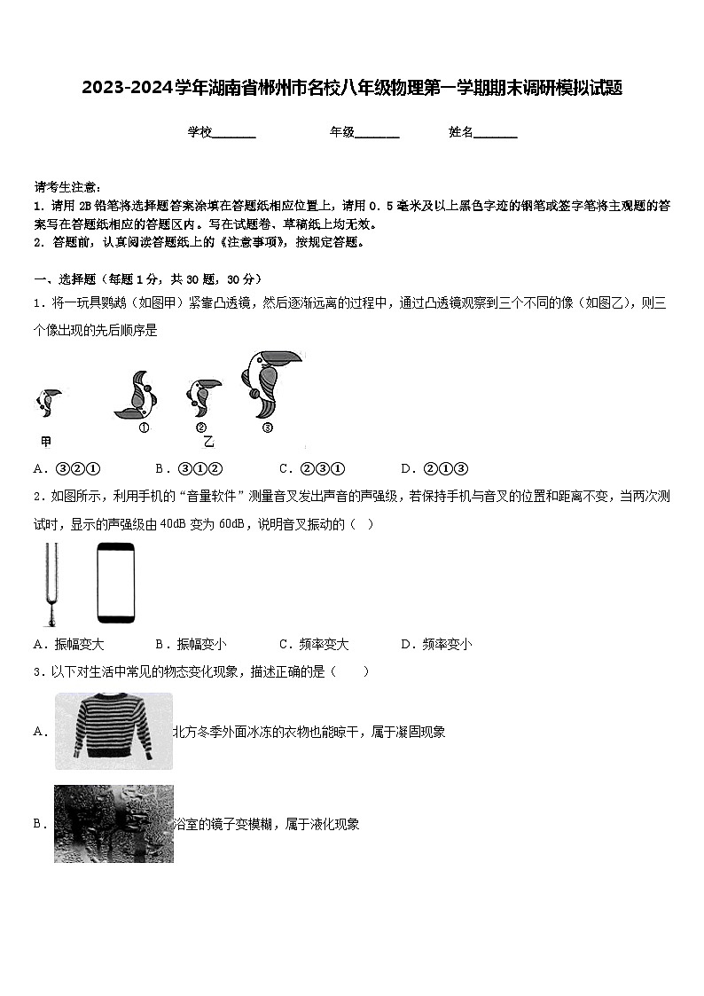 2023-2024学年湖南省郴州市名校八年级物理第一学期期末调研模拟试题含答案第1页