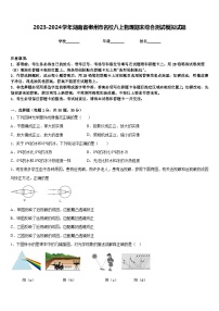 2023-2024学年湖南省郴州市名校八上物理期末综合测试模拟试题含答案