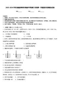 2023-2024学年湖南省郴州市湘南中学物理八年级第一学期期末经典模拟试题含答案