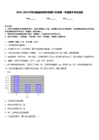 2023-2024学年湖南省耒阳市物理八年级第一学期期末考试试题含答案