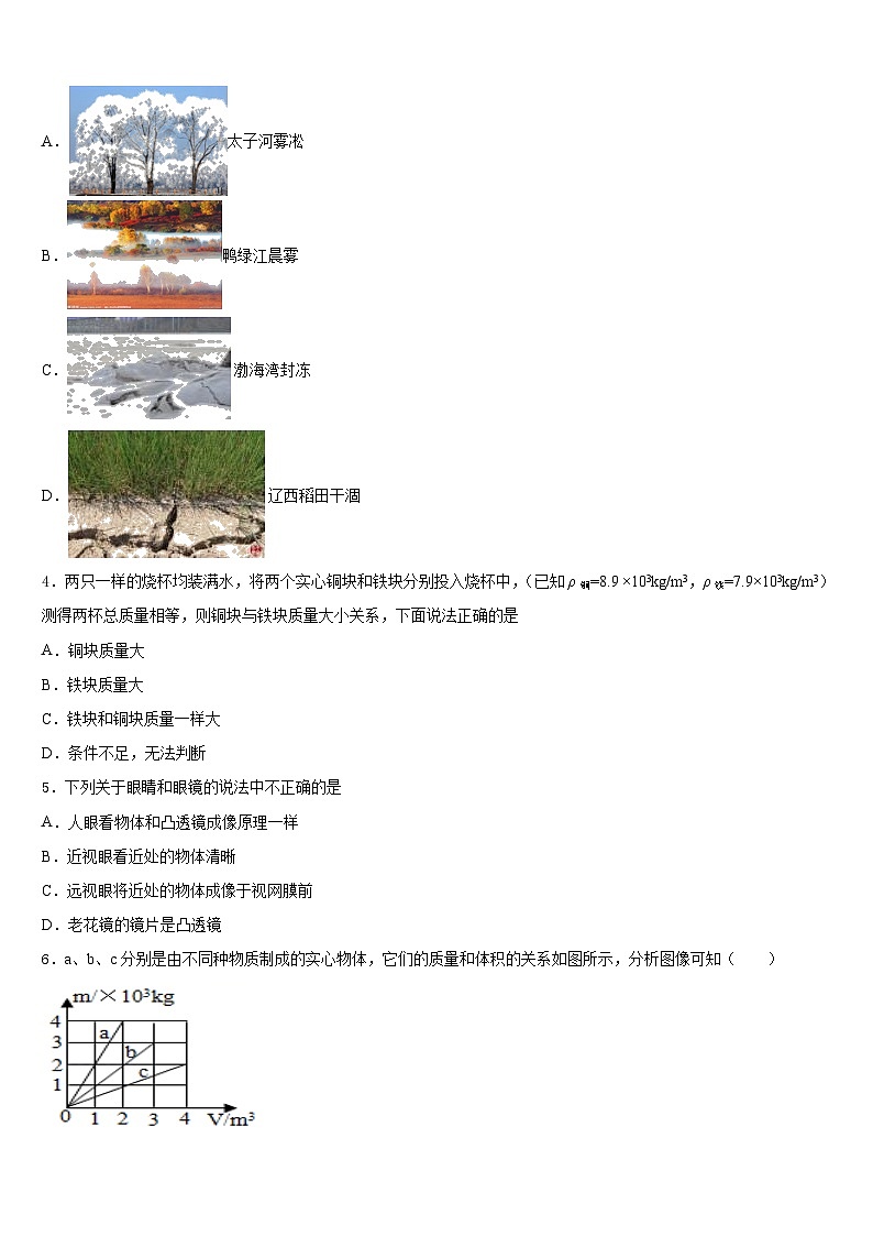 2023-2024学年湖南省耒阳市物理八年级第一学期期末考试试题含答案第2页