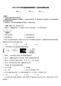 2023-2024学年湖南省祁阳县物理八上期末检测模拟试题含答案