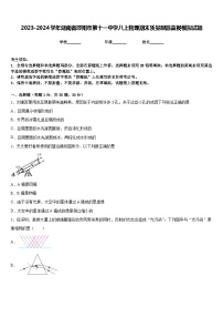 2023-2024学年湖南省邵阳市第十一中学八上物理期末质量跟踪监视模拟试题含答案