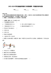 2023-2024学年湖南省邵阳县八年级物理第一学期期末联考试题含答案