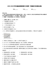 2023-2024学年湖南省湘西物理八年级第一学期期末考试模拟试题含答案