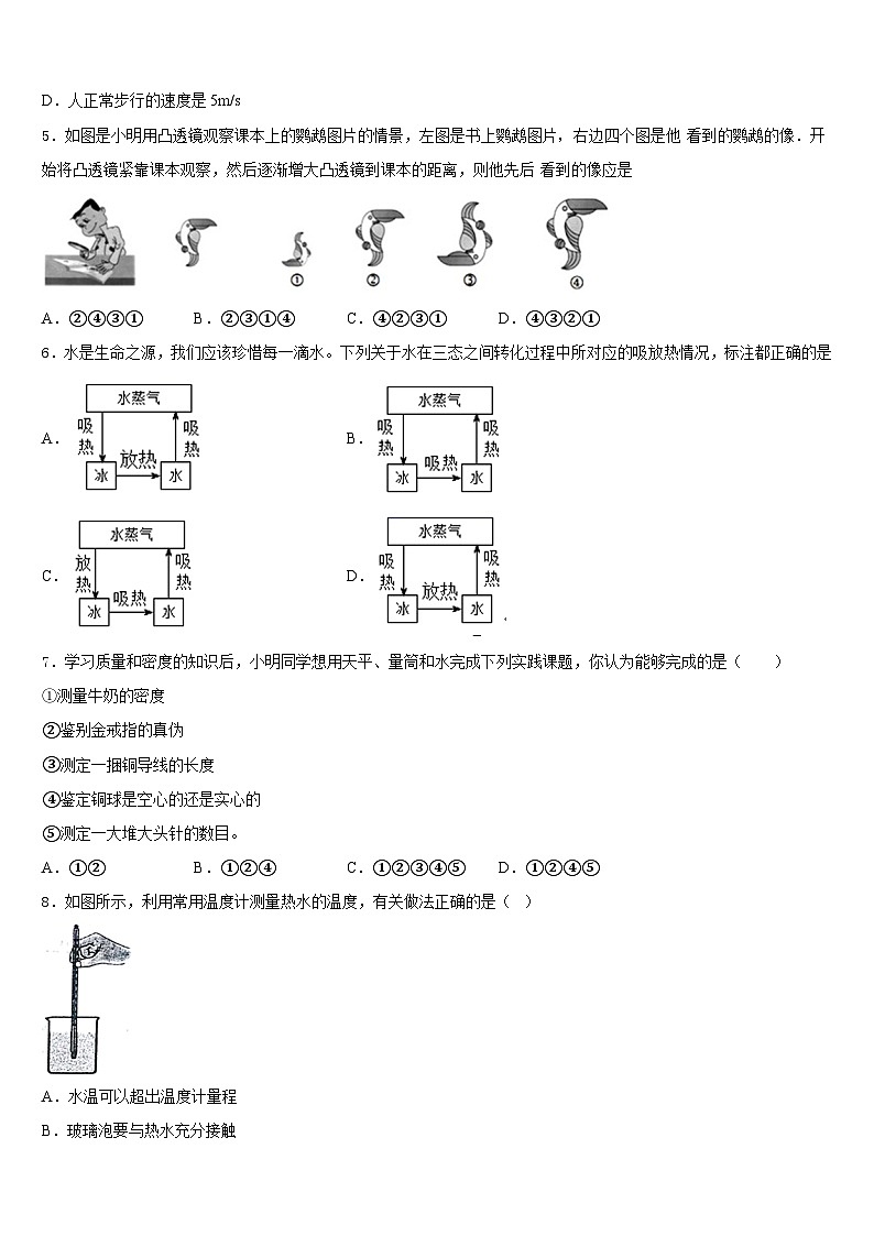 2023-2024学年湖南省长沙青竹湖湘一外国语学校八年级物理第一学期期末综合测试试题含答案第2页