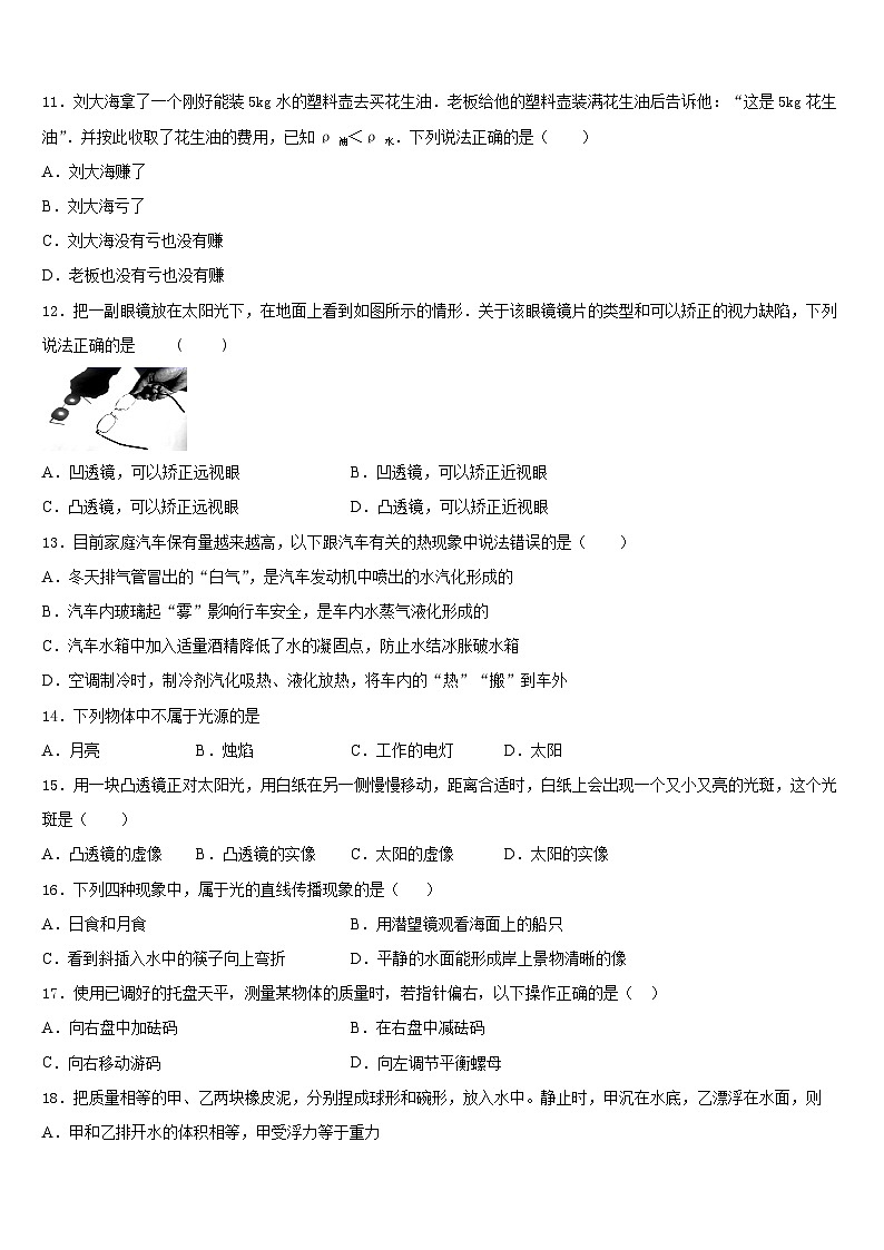 2023-2024学年湖南省长沙市开福区周南中学物理八上期末学业质量监测试题含答案第3页