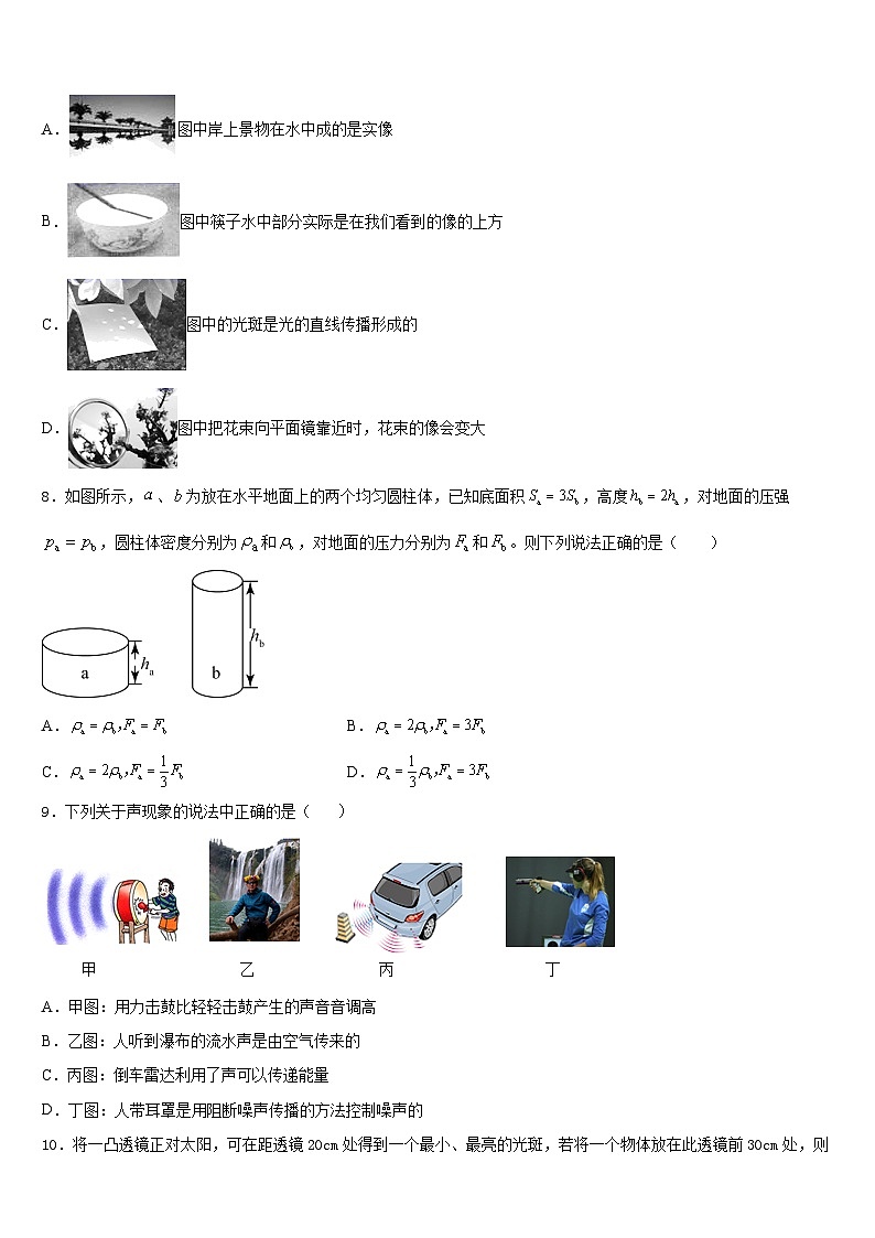 2023-2024学年湖南省长沙市湘一芙蓉、一中学双语学校八上物理期末综合测试试题含答案第3页
