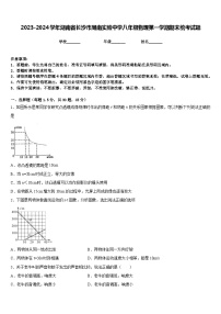 2023-2024学年湖南省长沙市周南实验中学八年级物理第一学期期末统考试题含答案