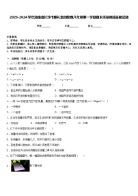 2023-2024学年湖南省长沙市雅礼集团物理八年级第一学期期末质量跟踪监视试题含答案