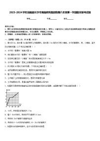 2023-2024学年湖南省长沙市周南教育集团物理八年级第一学期期末联考试题含答案