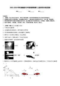 2023-2024学年湖南省长沙市望城县物理八上期末综合测试试题含答案