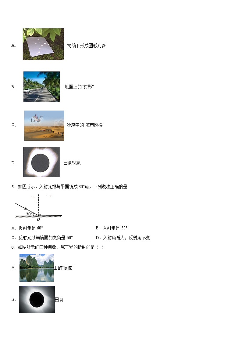 2023-2024学年甘肃省泾川市物理八上期末综合测试模拟试题含答案第2页