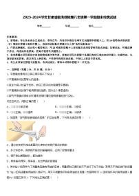 2023-2024学年甘肃省临洮县物理八年级第一学期期末经典试题含答案