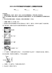 2023-2024学年甘肃省平凉市崇信县八上物理期末检测试题含答案